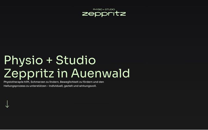 Screenshot of physiotherapie-zeppritz.de