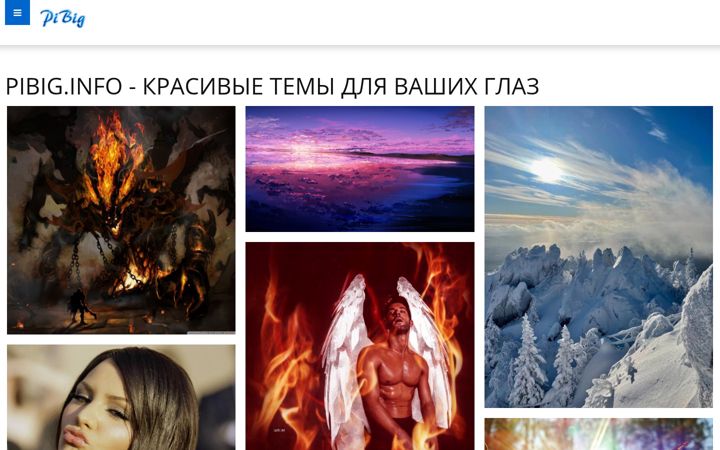 Screenshot of pibig.info