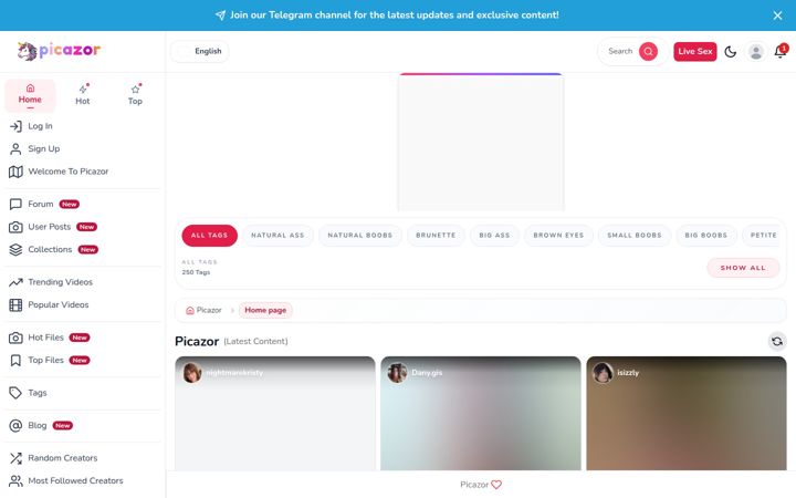 Screenshot του picazor.com