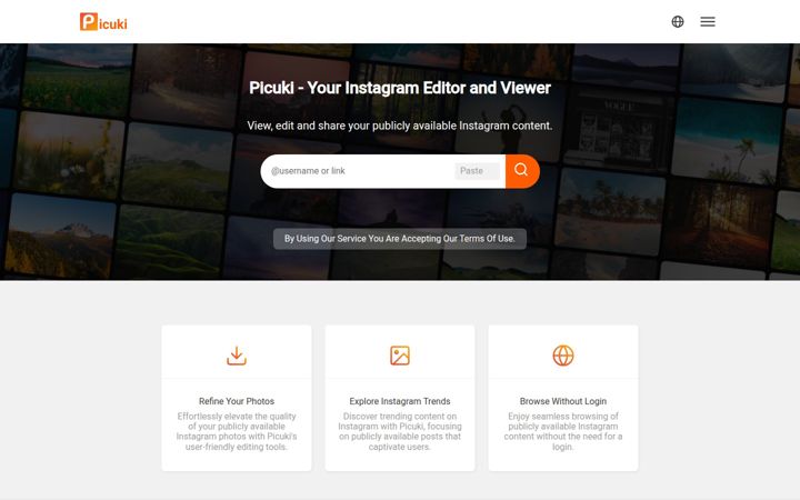 Screenshot of picuki.site
