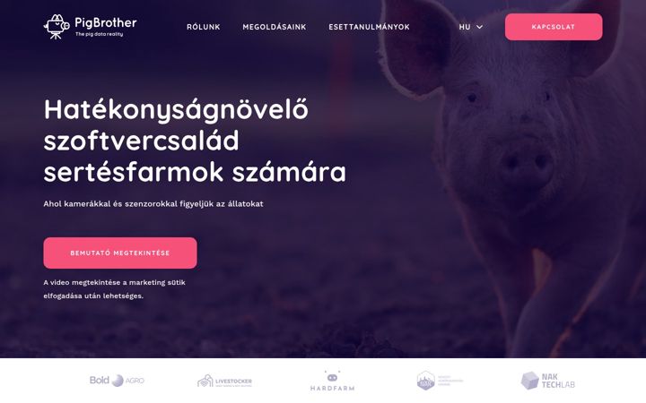 Screenshot of pigbrother.hu
