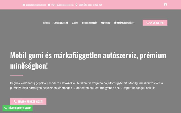 Screenshot of piggygumi.com