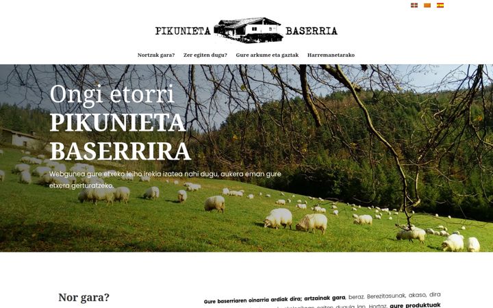 pikunieta.eus