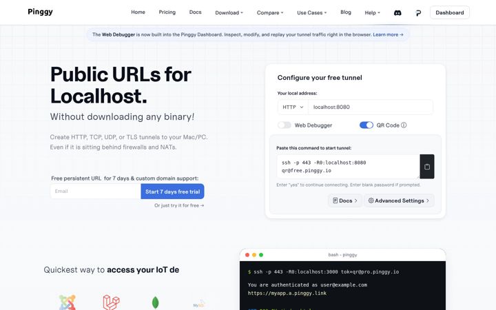 Screenshot of pinggy.io