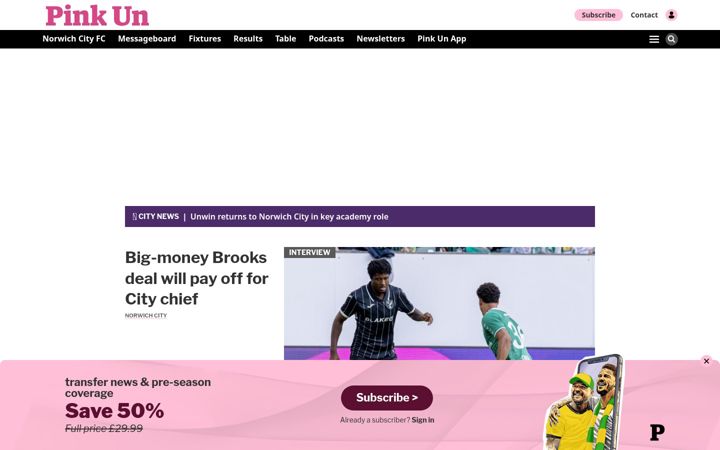 Screenshot of pinkun.com