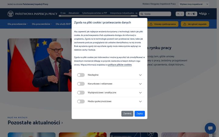 Screenshot of pip.gov.pl