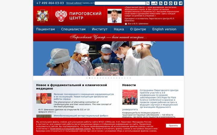 Screenshot stránky pirogov-center.ru