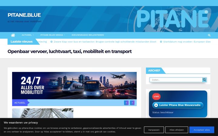 Screenshot of pitane.blue