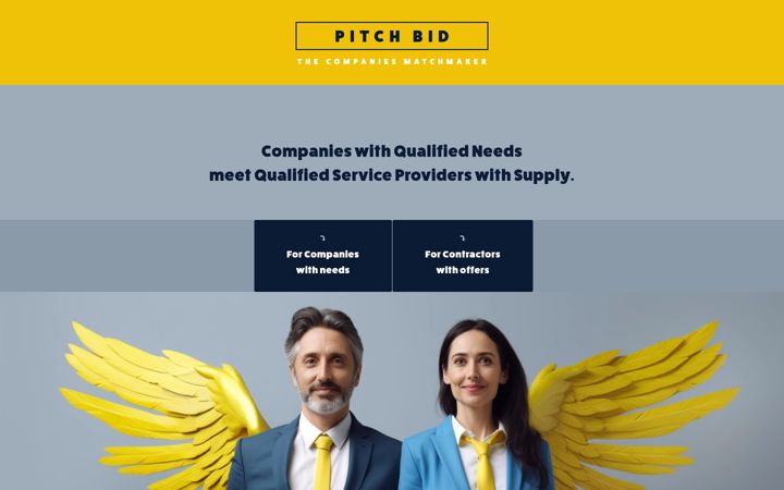 pitchbid.com