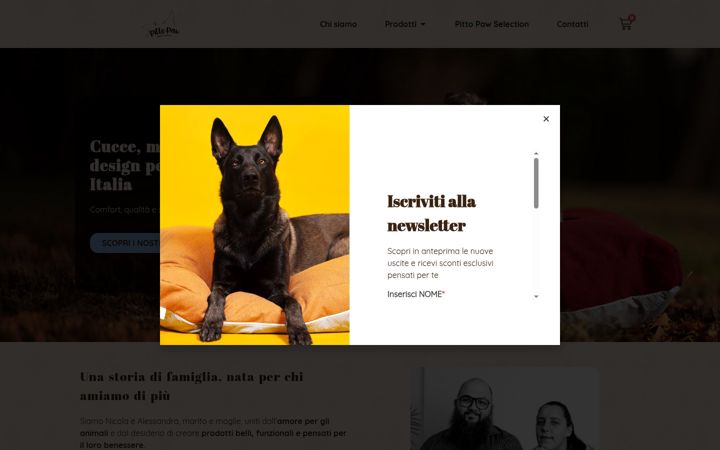 Screenshot di pittopaw.it