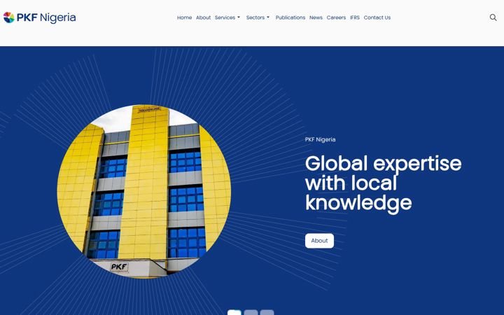 pkf-ng.com