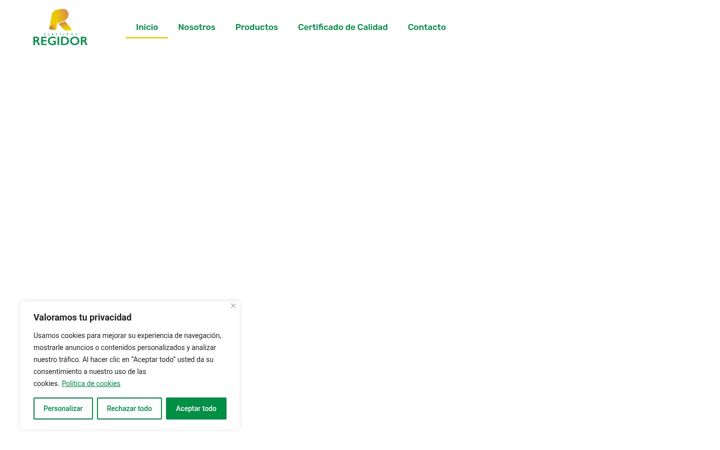 Screenshot of plasticosregidor.com