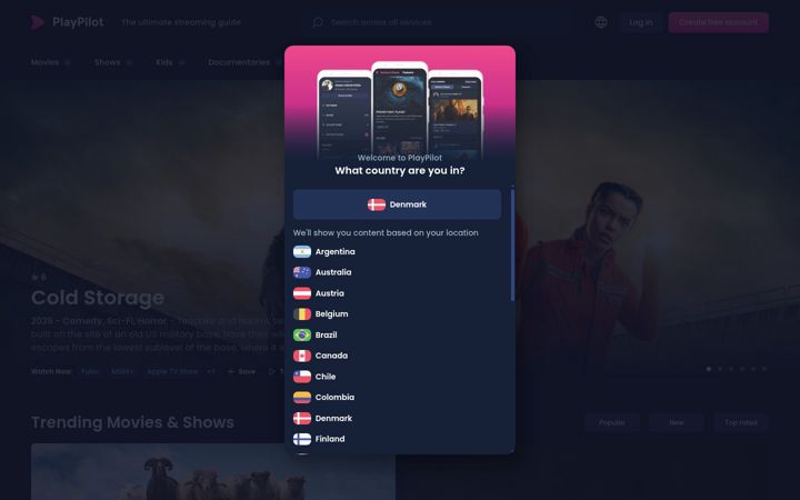 Zrzut ekranu playpilot.com