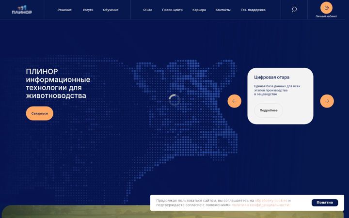 Screenshot of plinor.ru