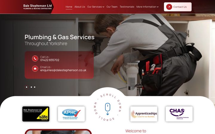 Kuvakaappaus sivustosta plumberinyorkshire.com