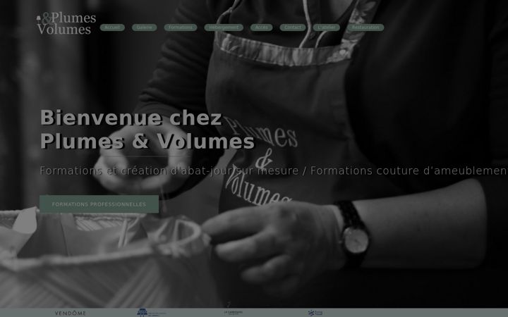 Screenshot of plumesetvolumes.fr