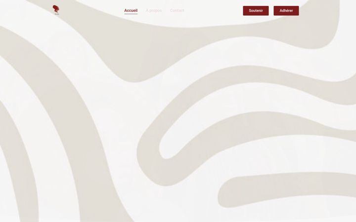 Screenshot of pluriellesasso.fr