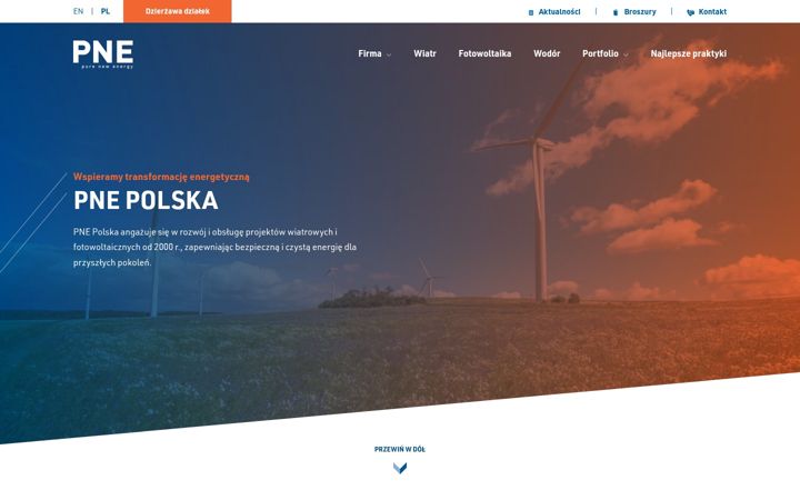 Skjámynd af pne-polska.pl