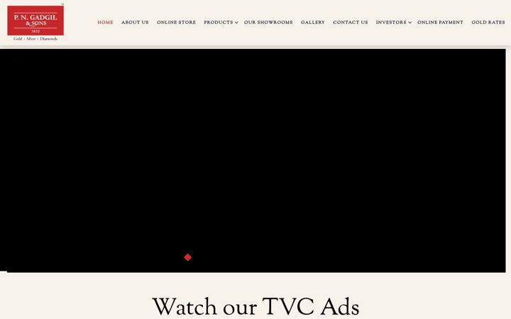 Screenshot of pngadgilandsons.com