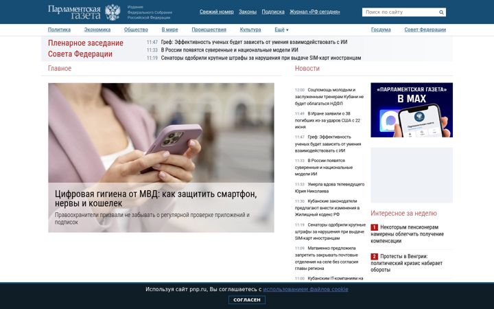 Screenshot di pnp.ru