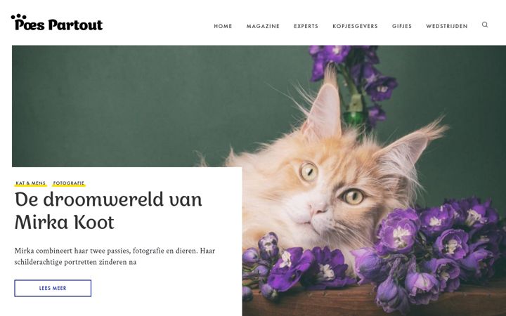 Ekrānuzņēmums no poespartout.com