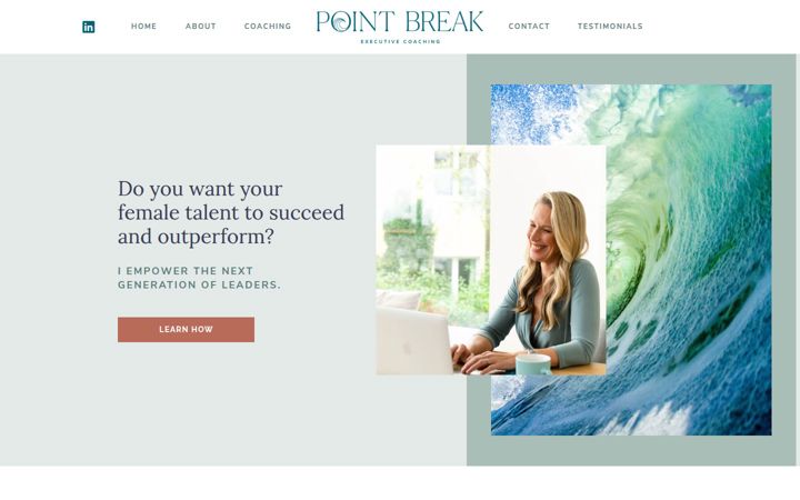 pointbreakexecutivecoaching.com