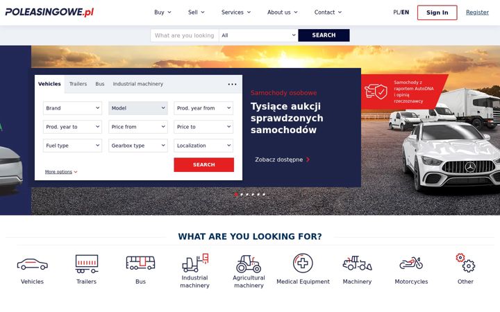 Screenshot of poleasingowe.pl