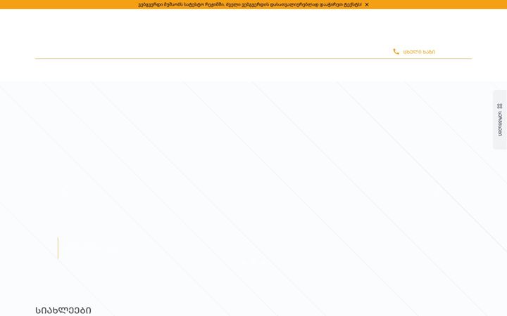 Screenshot of police.ge