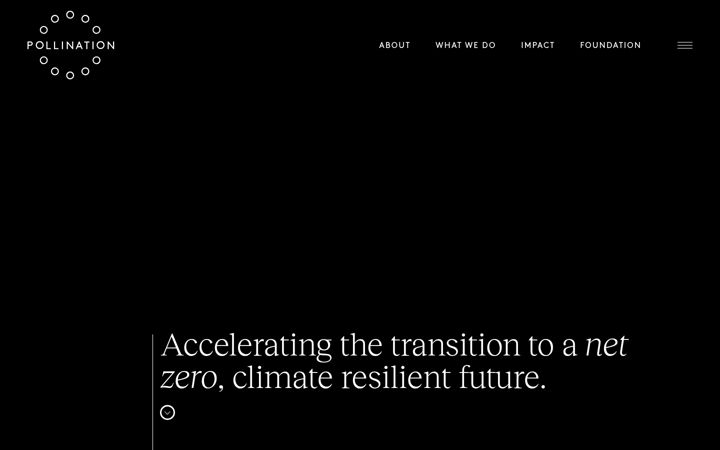 Screenshot of pollinationgroup.com