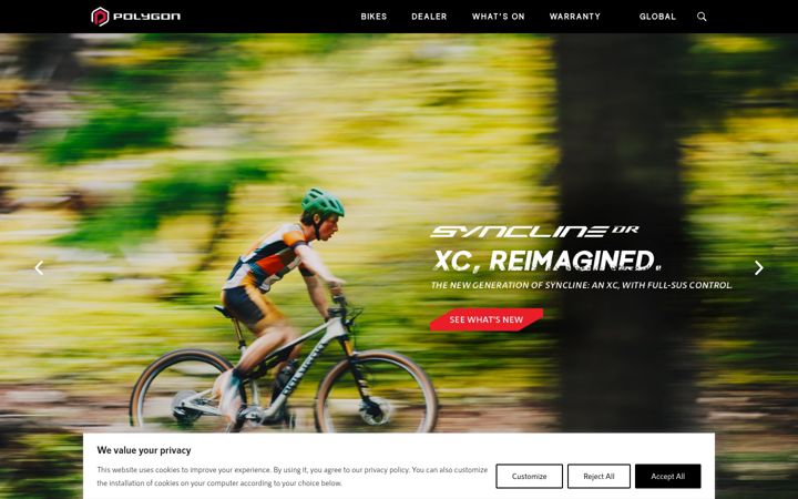 Screenshot of polygonbikes.com
