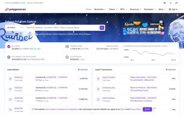 Skjámynd af polygonscan.com
