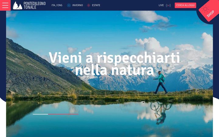 Snímek obrazovky pontedilegnotonale.com