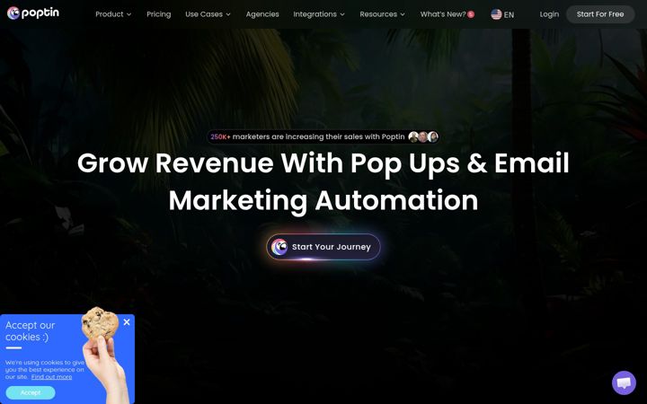 Screenshot of poptin.com