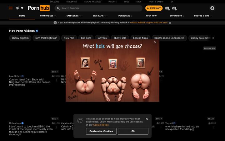 Screenshot of porn-hub.website