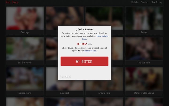 Screenshot of pornkin.com