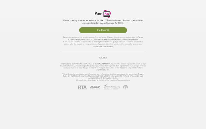 Screenshot of pornpics.chat