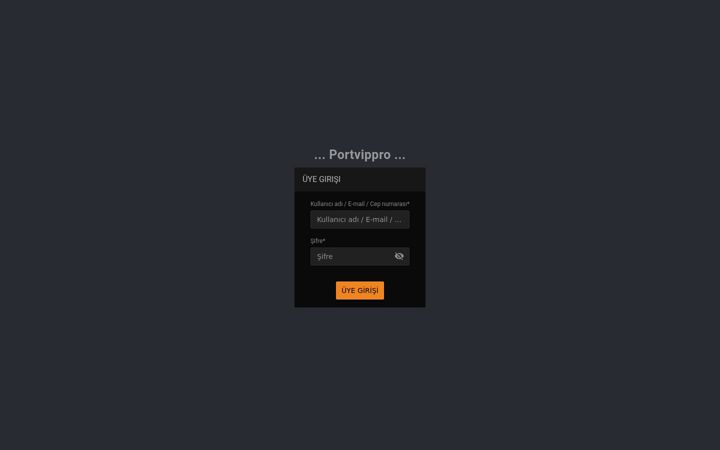 Screenshot of portvip.pro