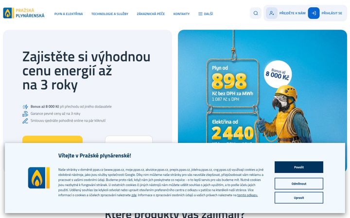 Screenshot of ppas.cz