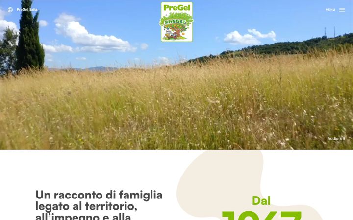 pregel.it