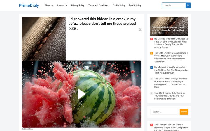 Screenshot of primedailys.com