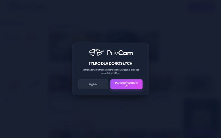 Screenshot of privcam.com