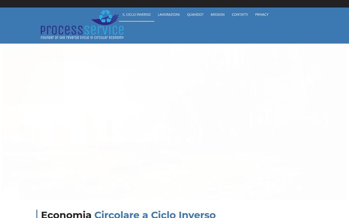 Screenshot of processservice.it