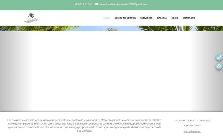 Snimka zaslona za profesionalesenjardineria.com