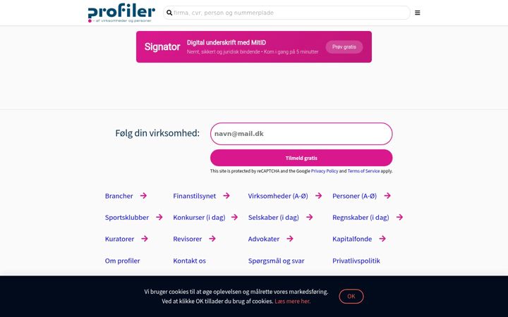 Screenshot of profiler.dk