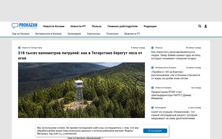 Screenshot of prokazan.ru