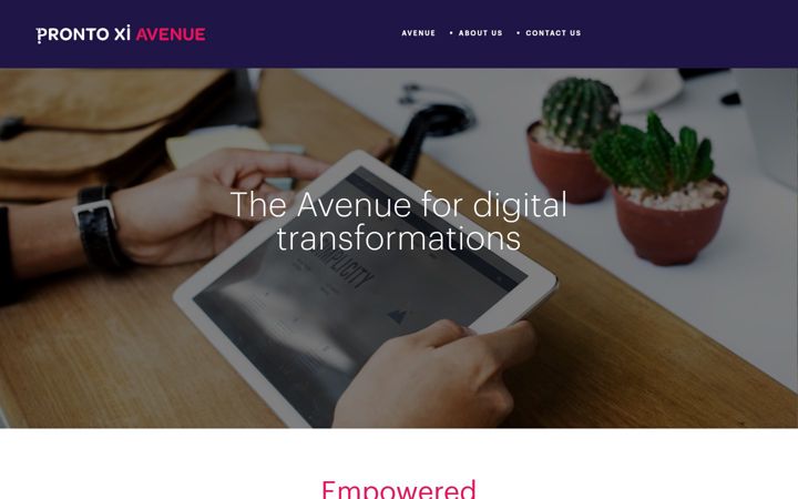 Screenshot of prontoavenue.biz