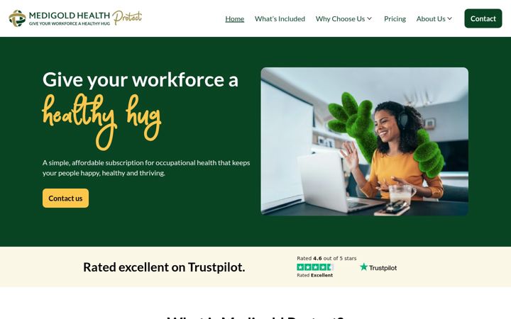 Screenshot von protect-oh.co.uk