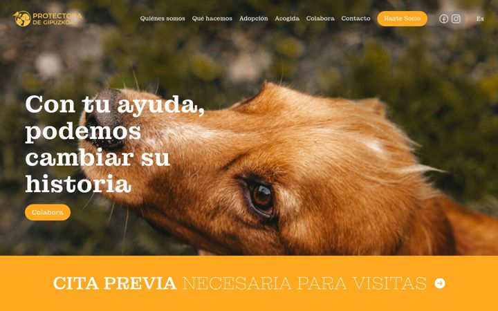 protectoradegipuzkoa.com