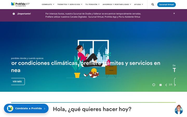 Screenshot of provida.cl