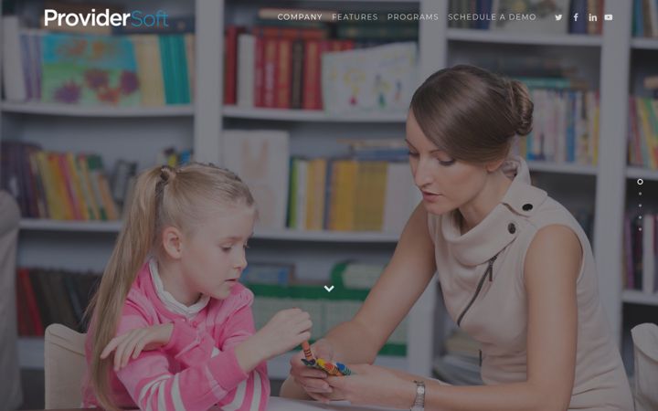 Screenshot of providersoftllc.com